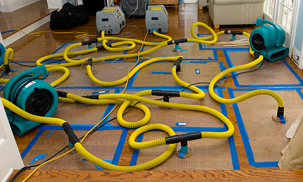 Professional Basement Flood Cleanup technician working in Buchanan, NY